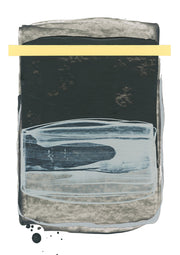 Novella 15