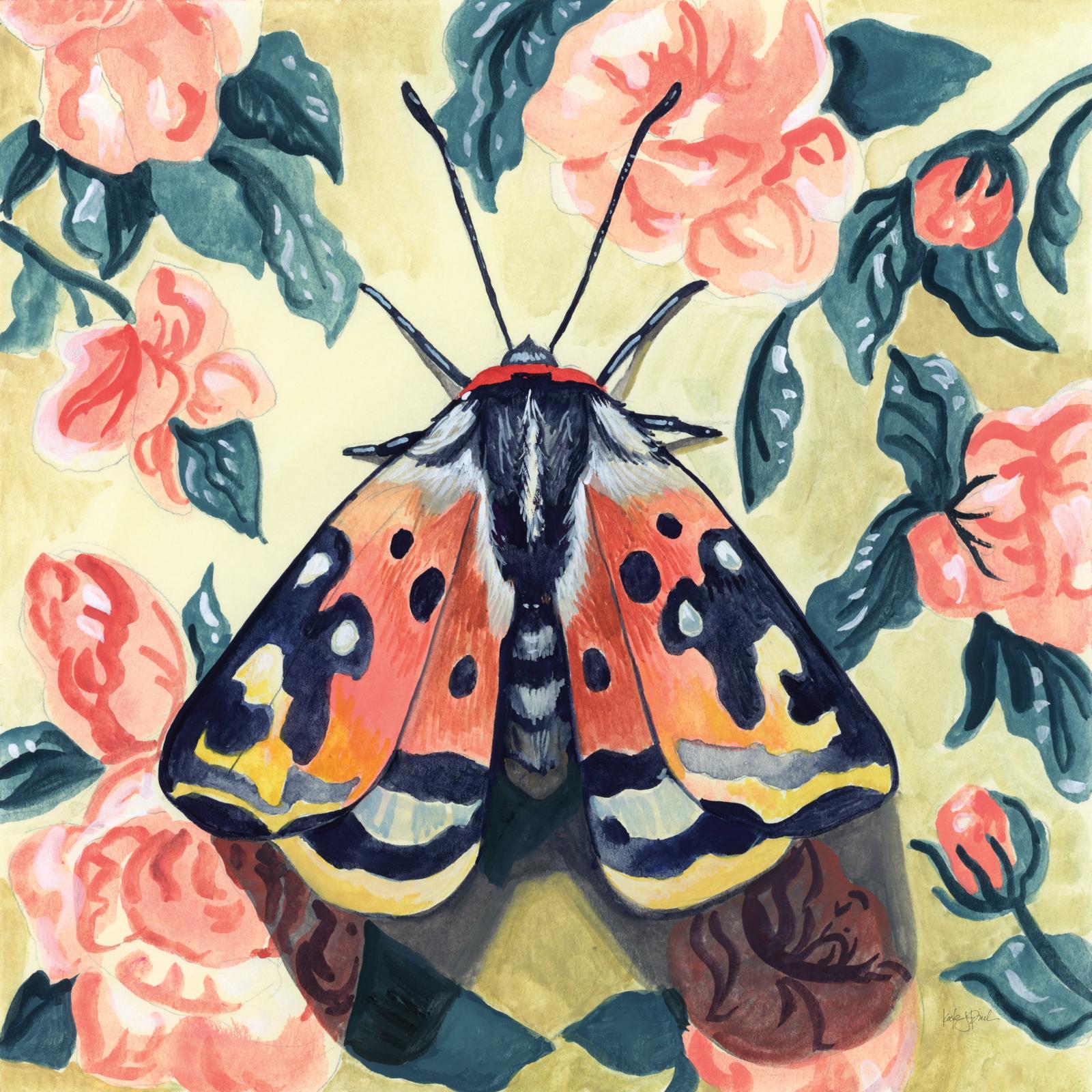 Spring Moth