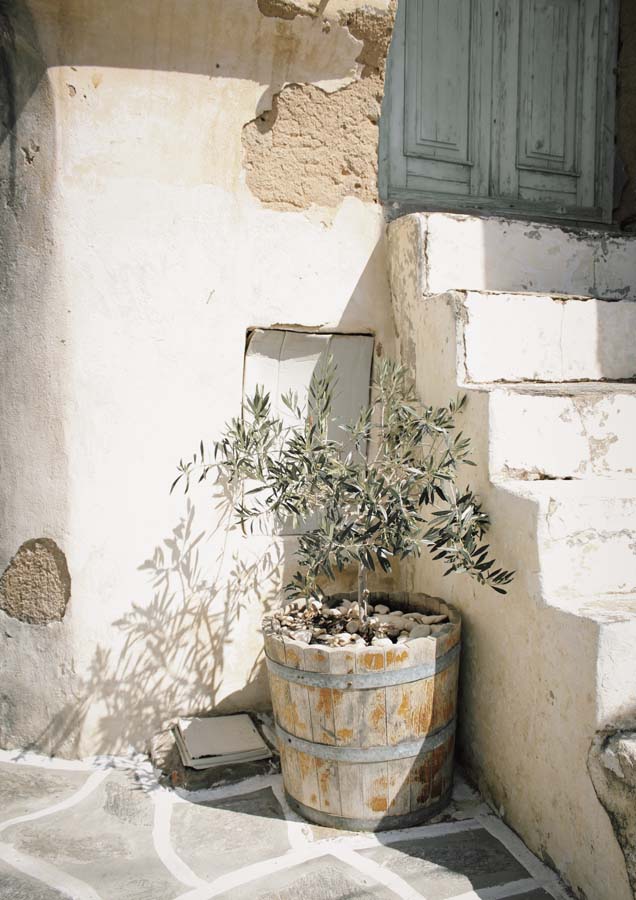 Puglia Canvas Wall Art