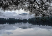 Rainy Day Cooper Lake
