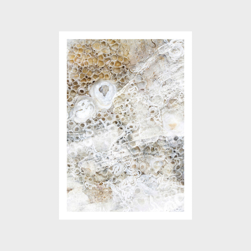 Natural Fusion 2 Art Print