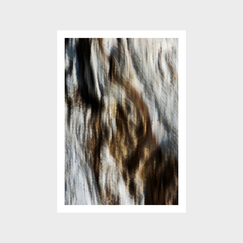 Soft Woodbark 2 Art Print