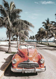 Beach Cruisin