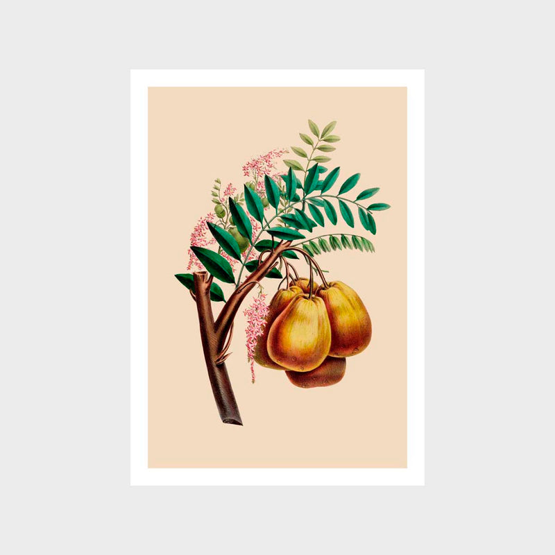 Vintage Pears Art Print