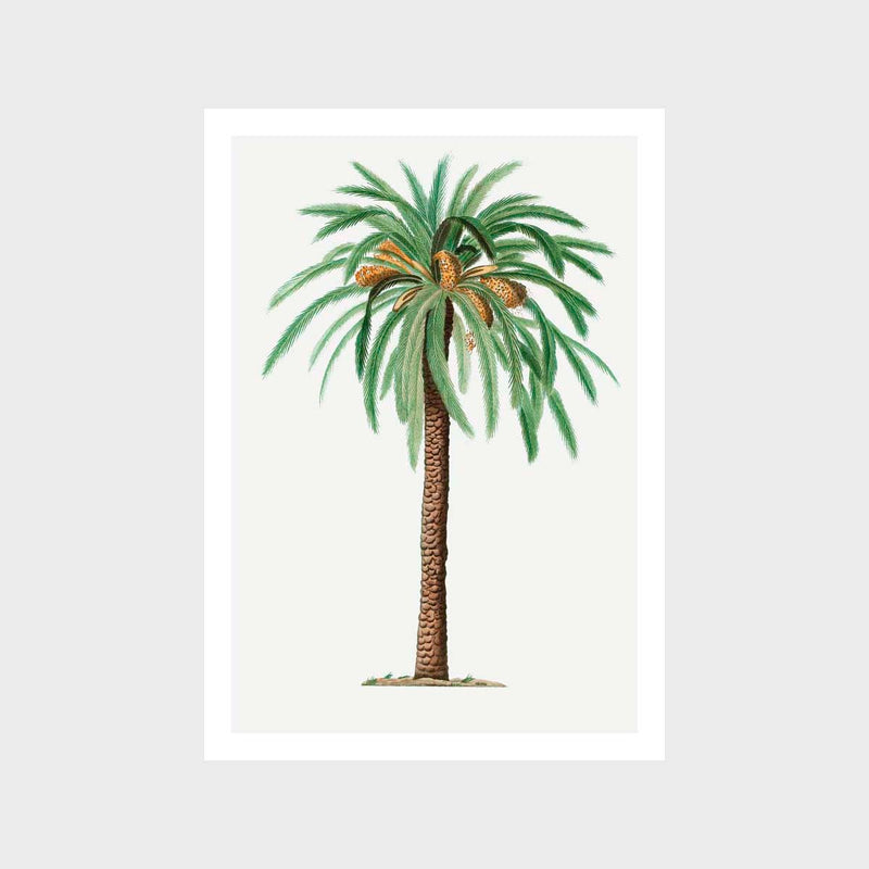 Vintage Palm 2 Art Print