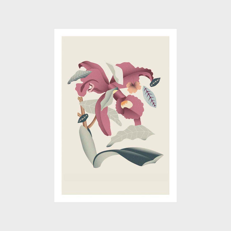 Flora 2 Art Print