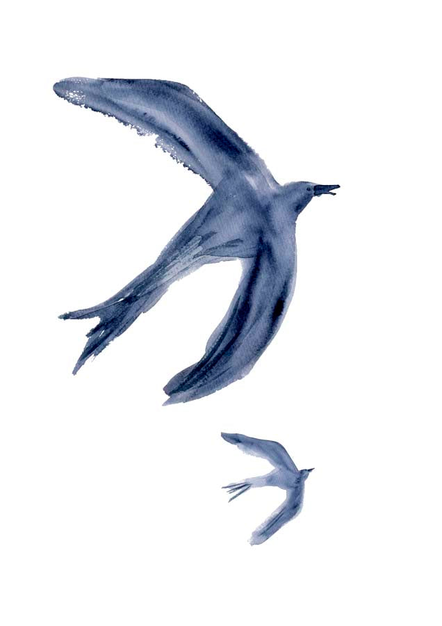 Flying Swallow 2 Canvas Wall Art