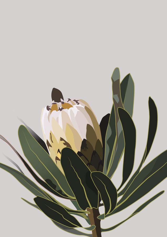 Protea 1 Canvas Wall Art