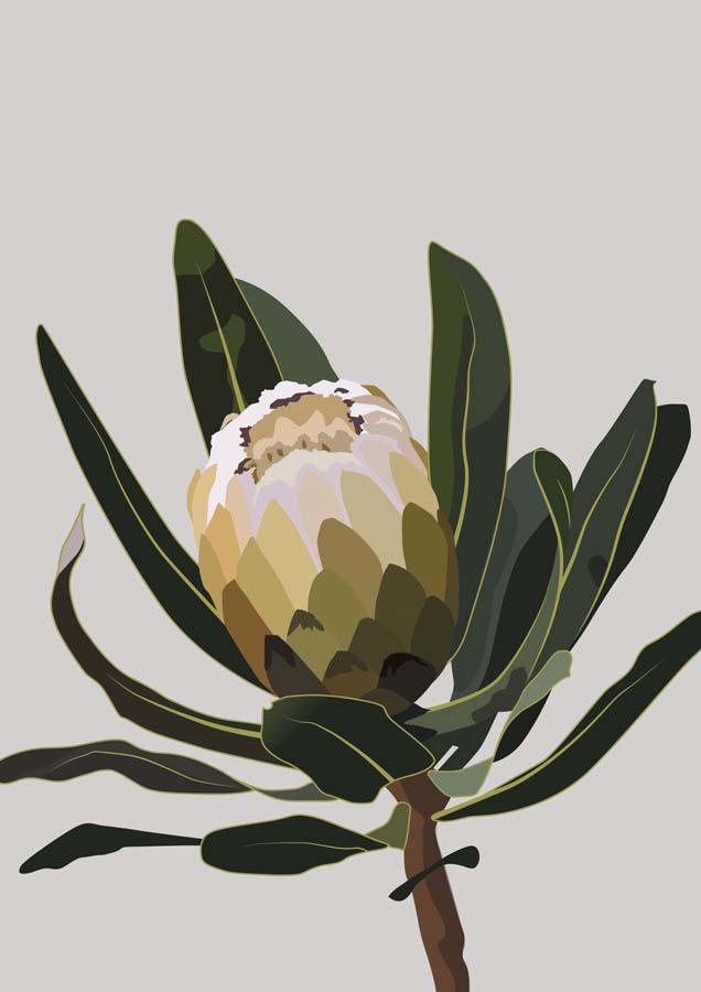 Protea 2 Canvas Wall Art