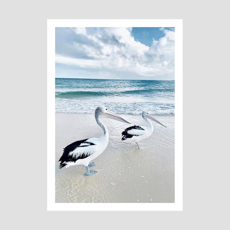 Pelican Art Print