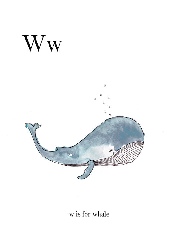 Ww Is For Whale