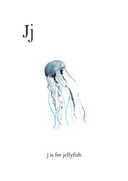Jj Is For Jellyfish