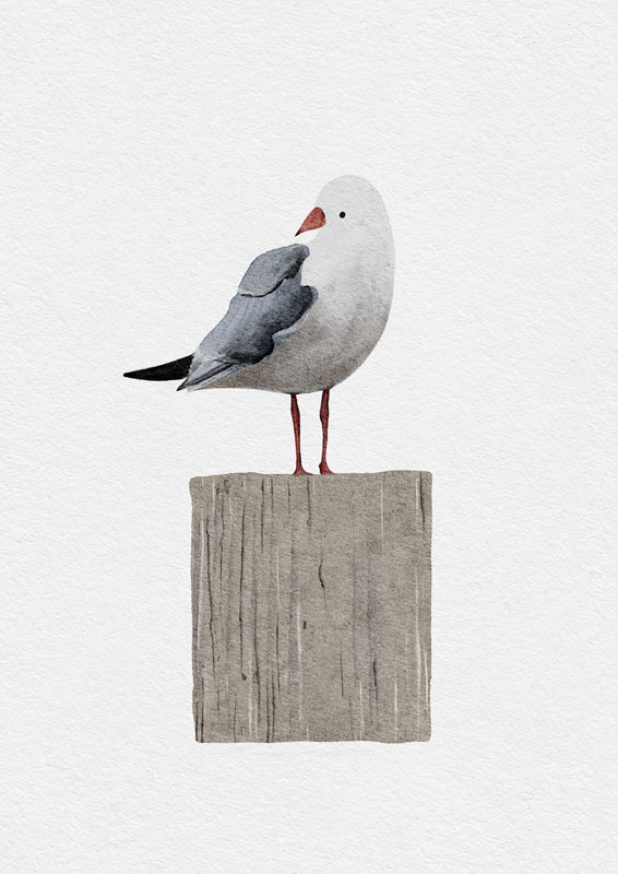 Seagull