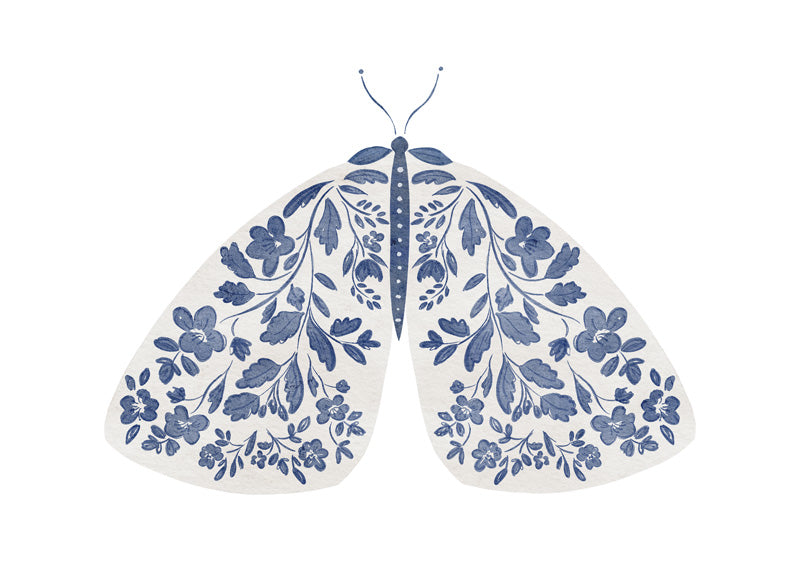 Blue And White Moth