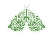 Flourished Green Moth