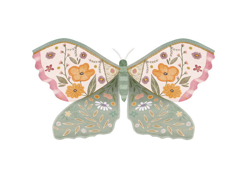 Lovely Moth
