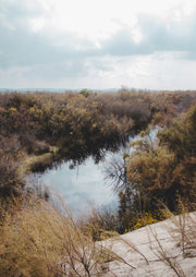 Reflective Wetland Creek