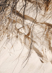 Sand Dune With Roots