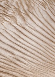 Sand Ripple Texture