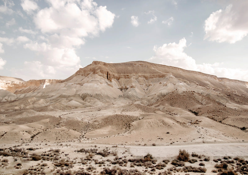 Desert Mountain Vista