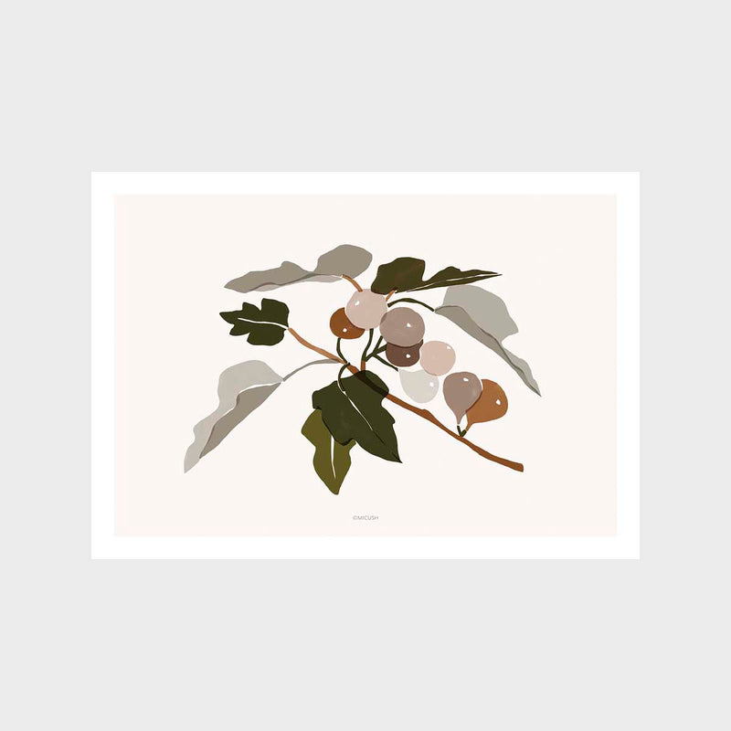 Harvest Fig Art Print