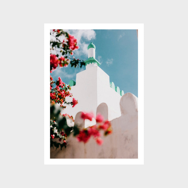 Bougainvillea 1 Art Print