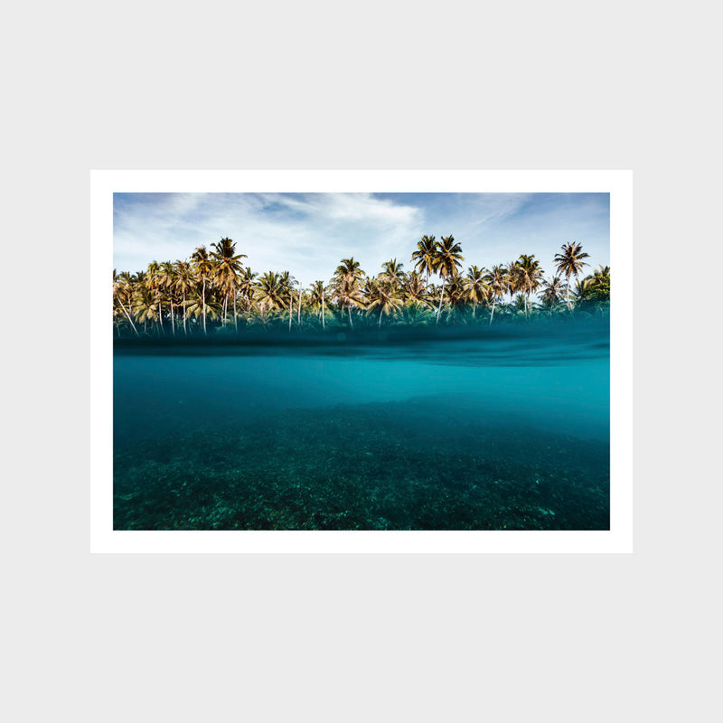 Island Paradise 1 Art Print