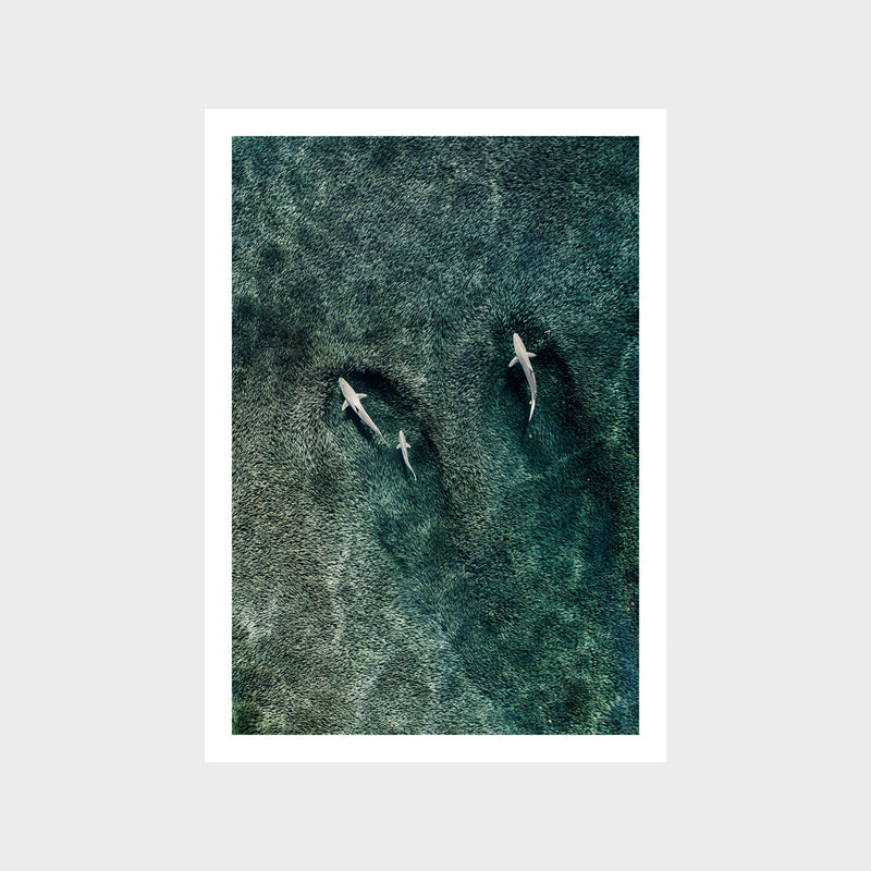 Trio Art Print