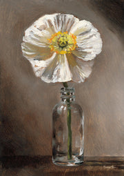 White Poppy