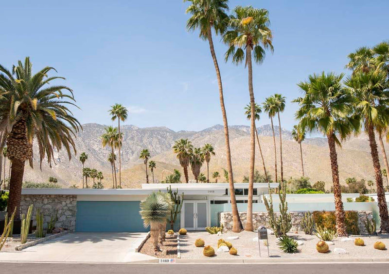 Palm Springs 1 Canvas Wall Art