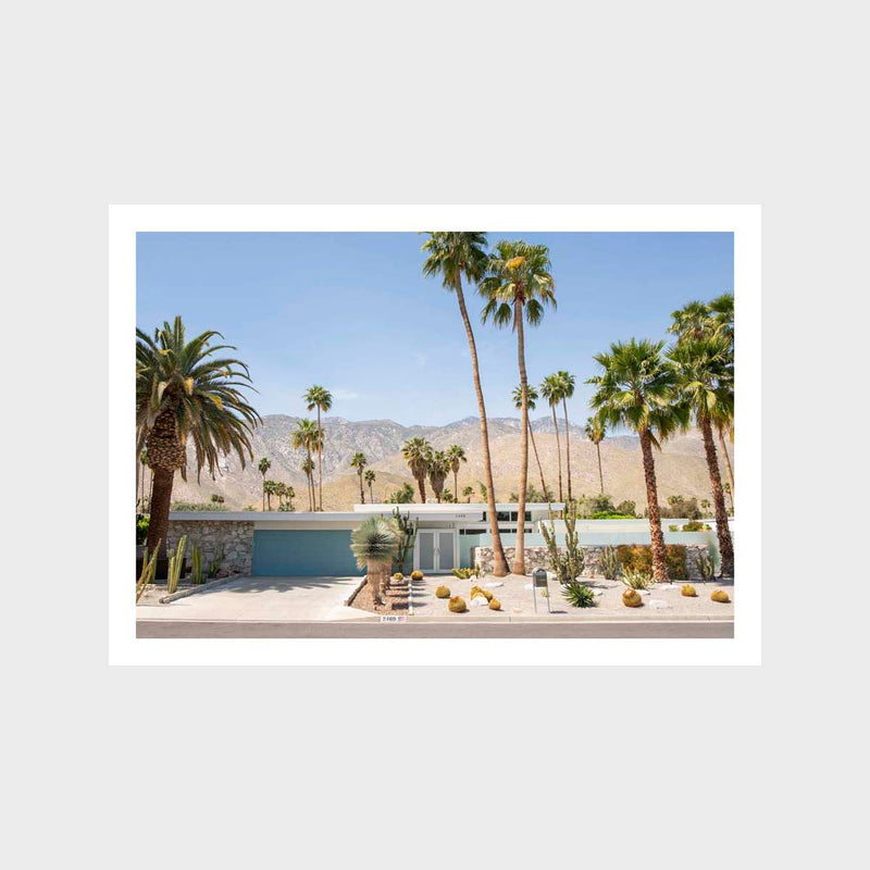 Palm Springs 1 Art Print