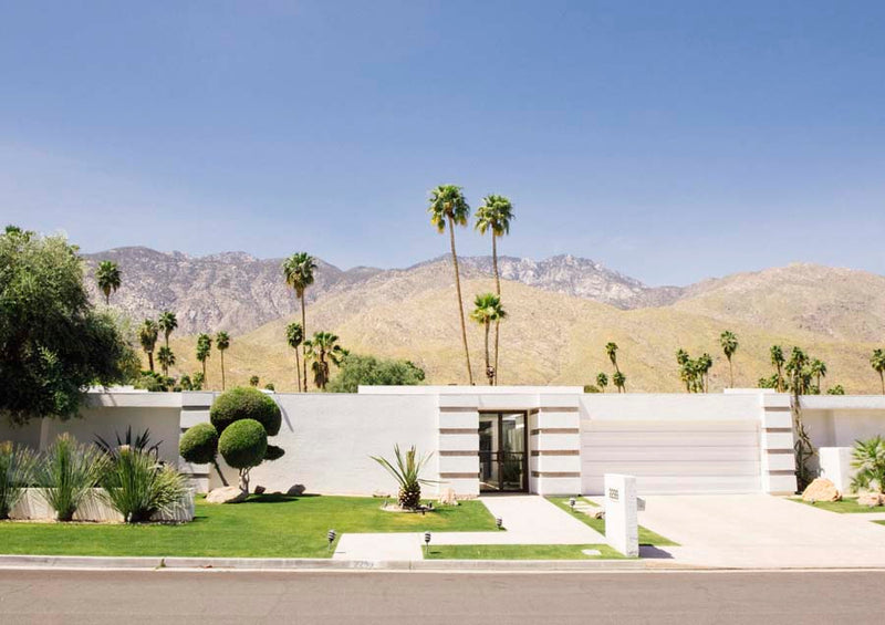 Palm Springs 4 Canvas Wall Art