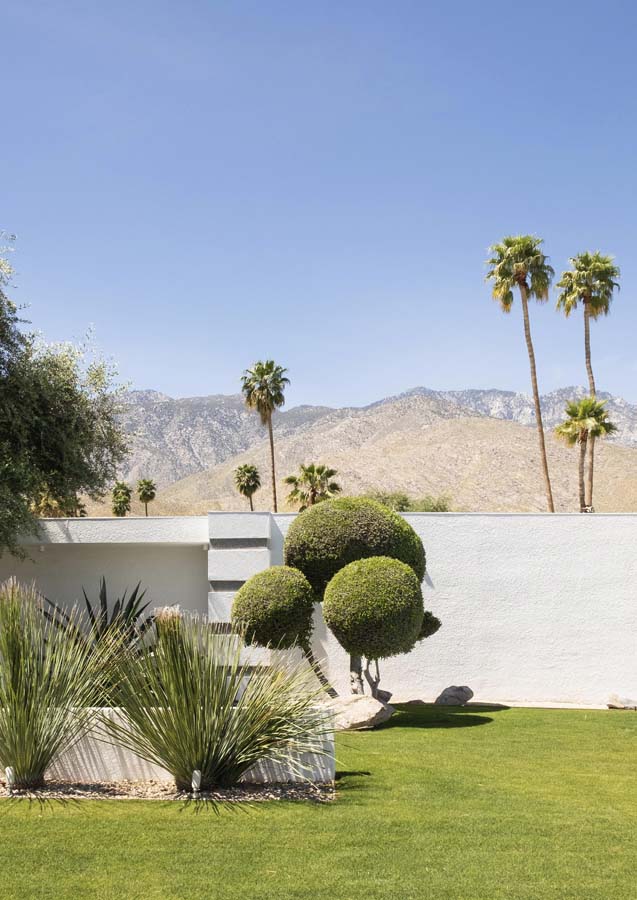 Palm Springs 5 Canvas Wall Art