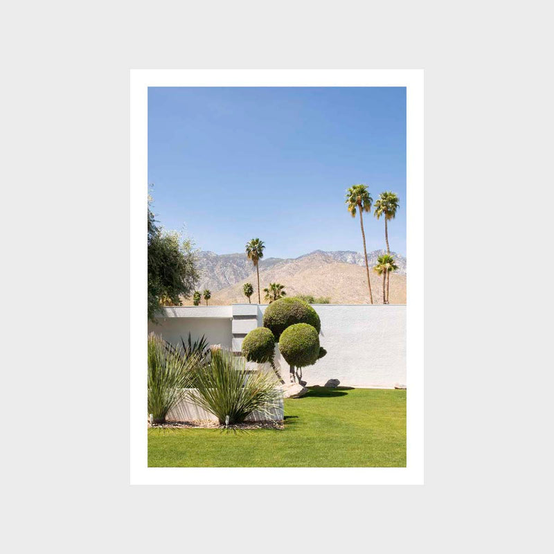 Palm Springs 5 Art Print