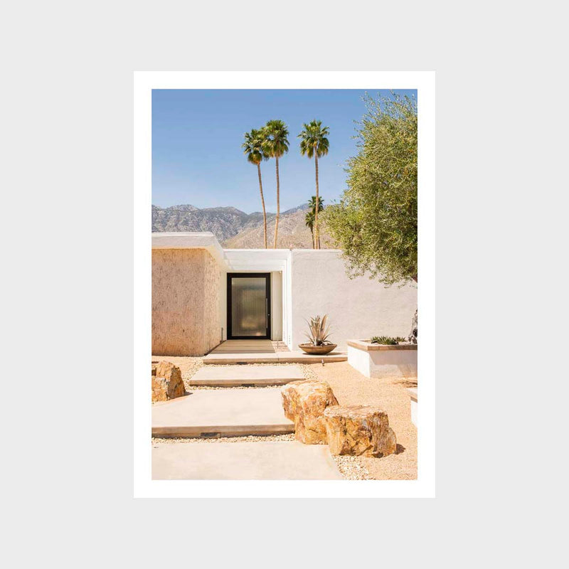 Palm Springs 6 Art Print