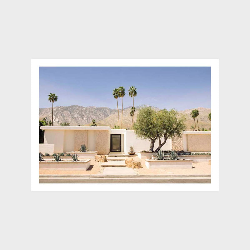 Palm Springs 7 Art Print