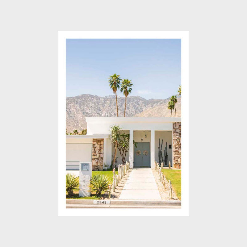 Palm Springs 8 Art Print