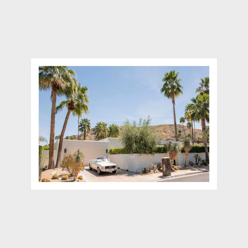 Palm Springs 9 Art Print