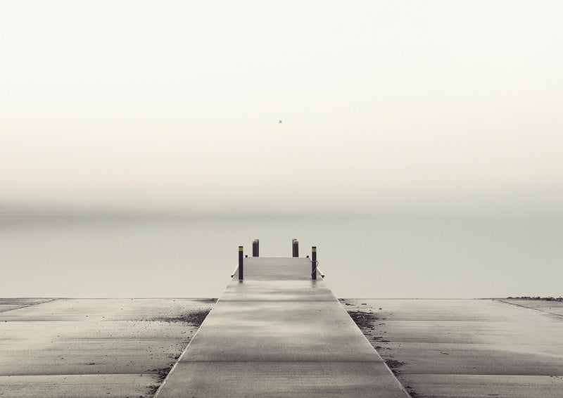 Pier And Seagull