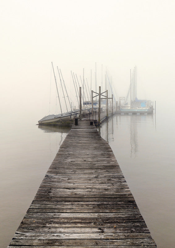 Harbor Fog
