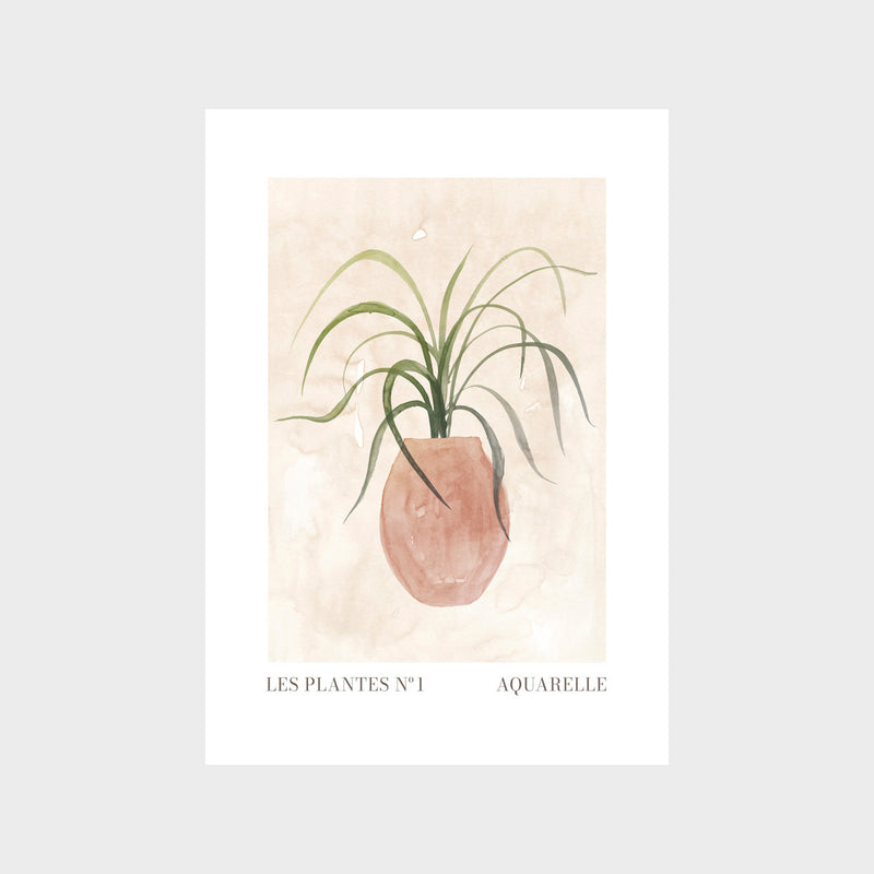 Les Plantes 1 Art Print