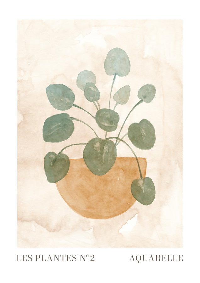 Les Plantes 2 Canvas Wall Art