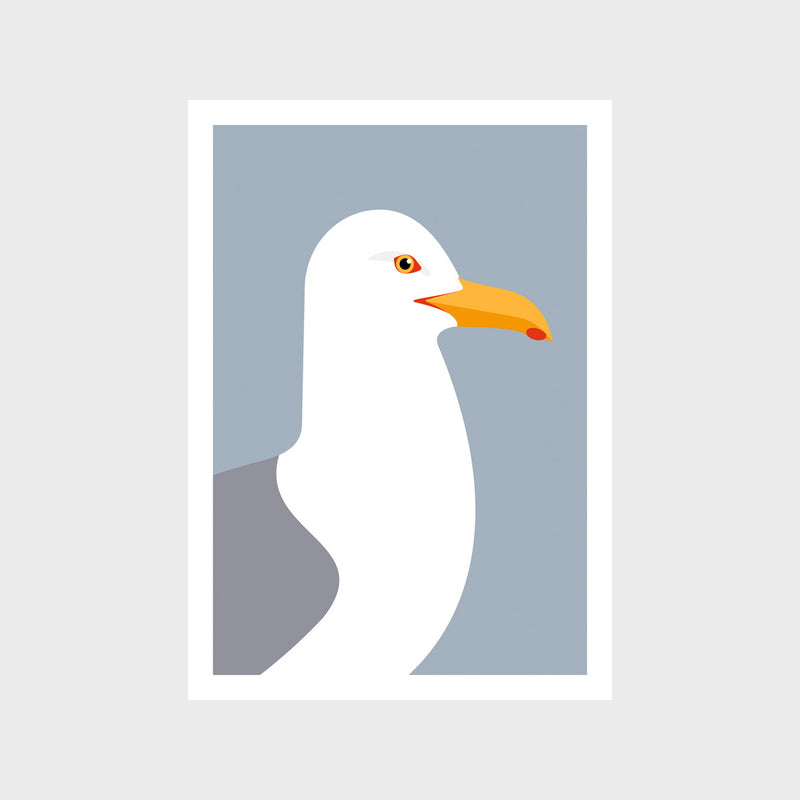 Herring Gull Art Print