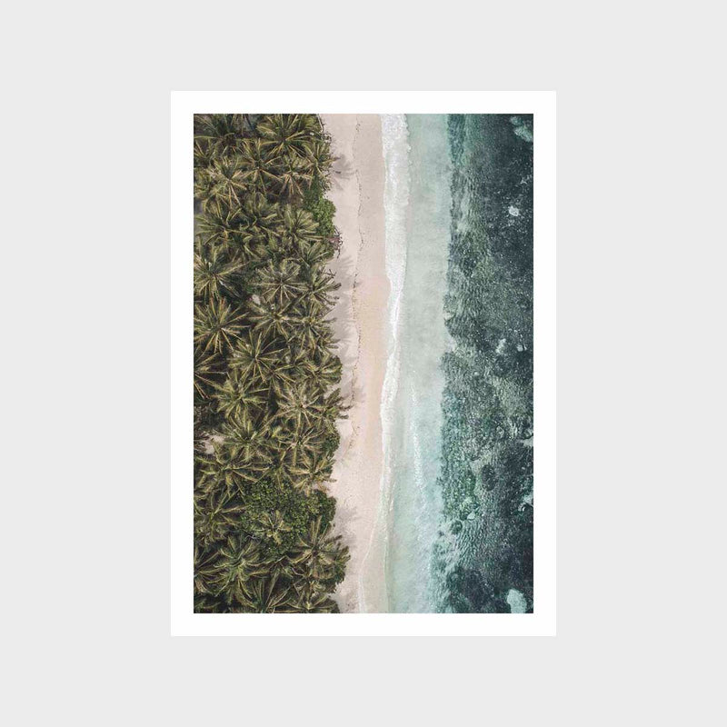 Layers Of The Tropical 1 Art Print