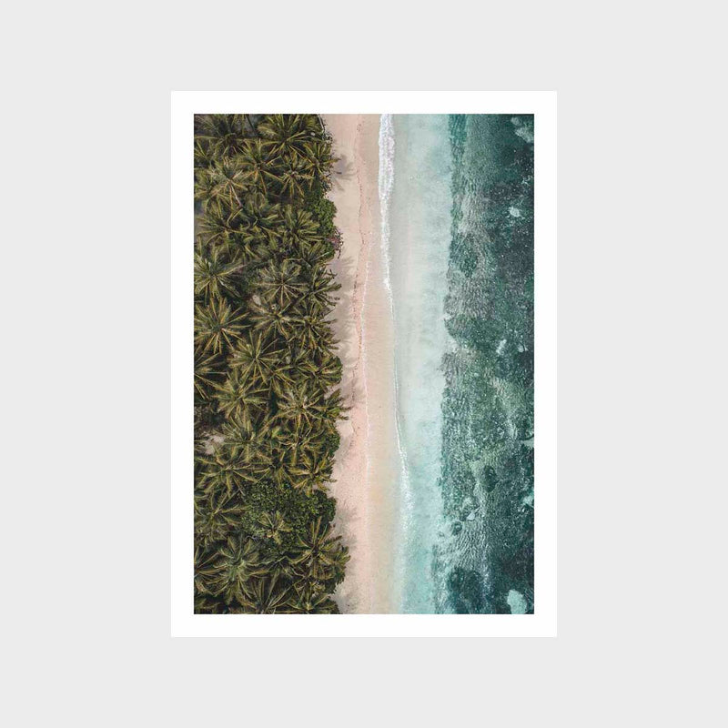 Layers Of The Tropical 2 Art Print