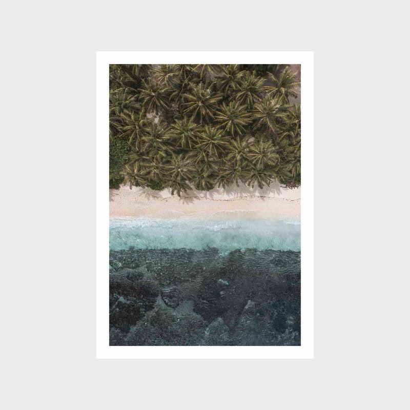 Layers Of The Tropical 3 Art Print