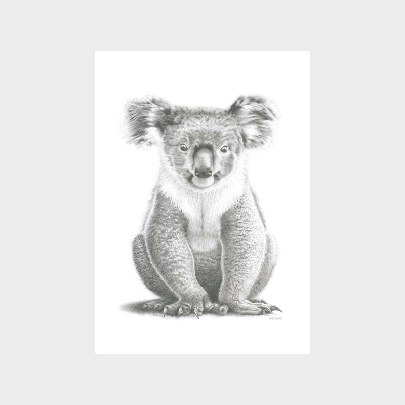 Koala Art Print