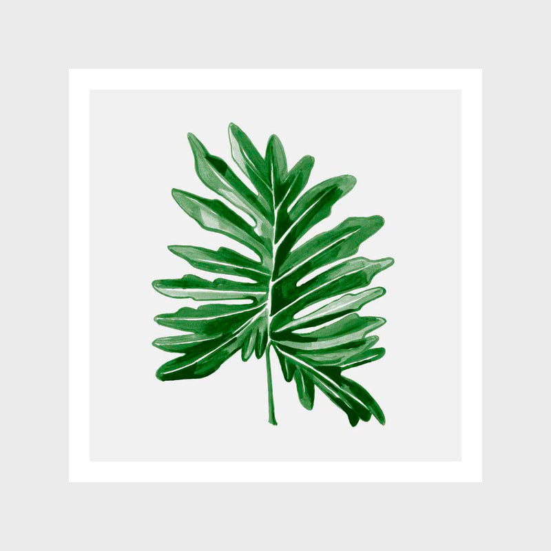 Leaf 1 Art Print