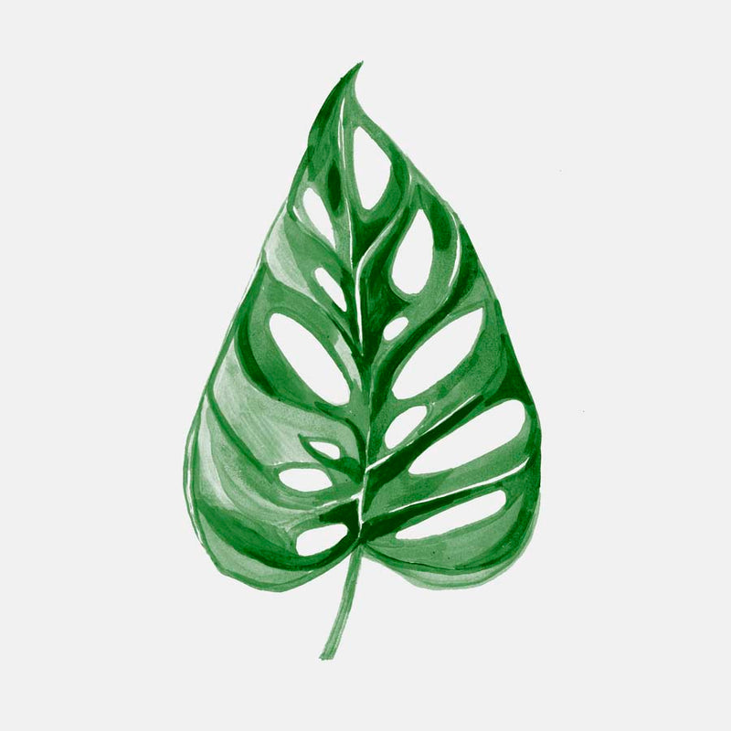 Leaf 2 Canvas Wall Art