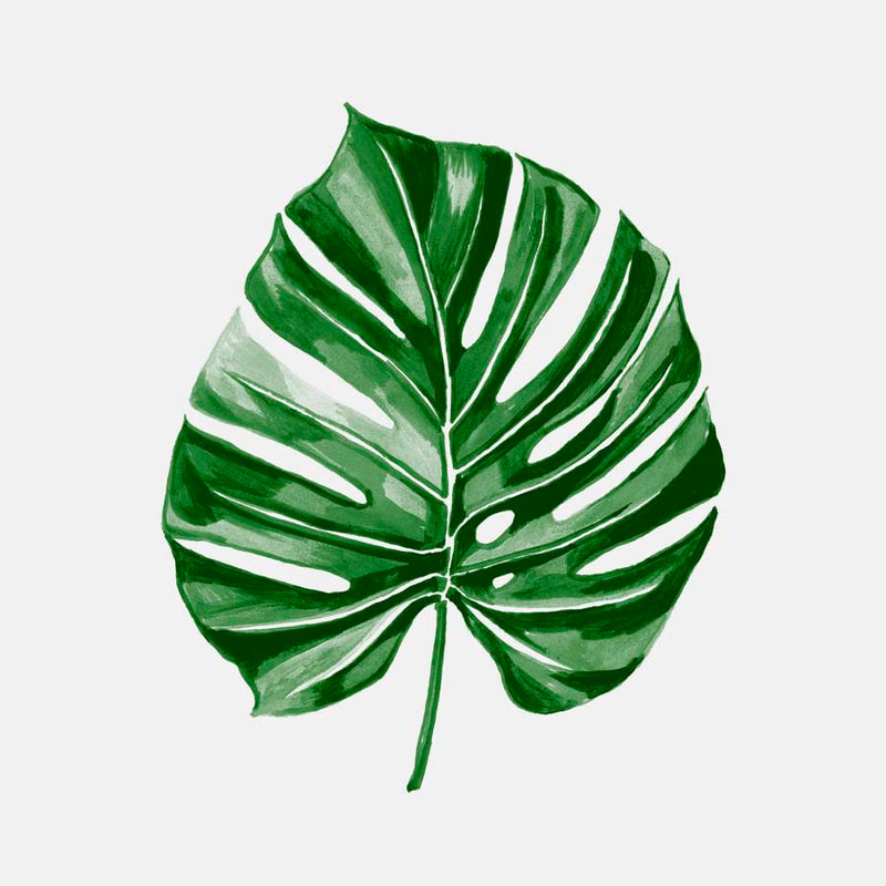 Leaf 3 Canvas Wall Art